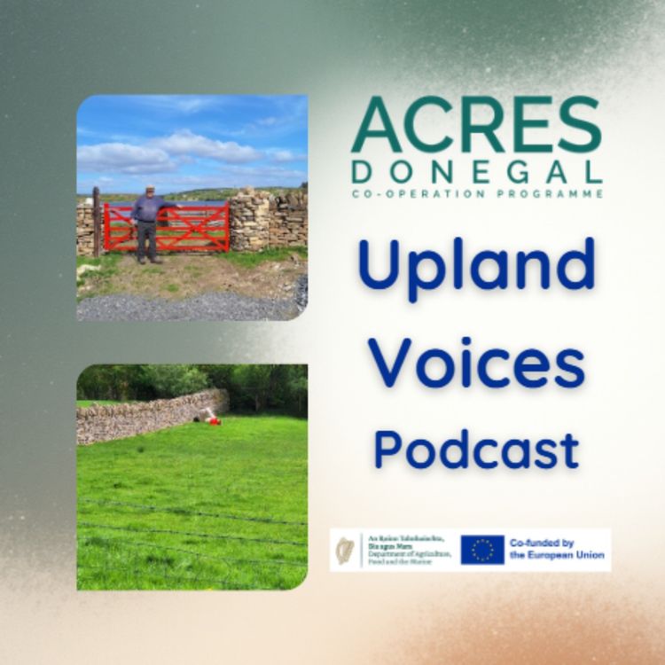 cover art for Upland Voices - Patsy's Drystone Walls