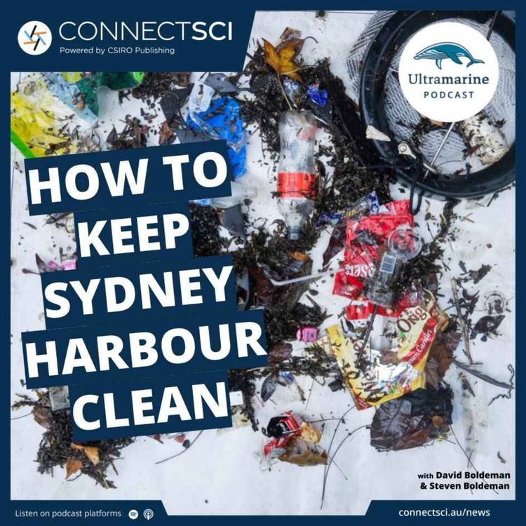 cover art for How to keep Sydney Harbour Clean