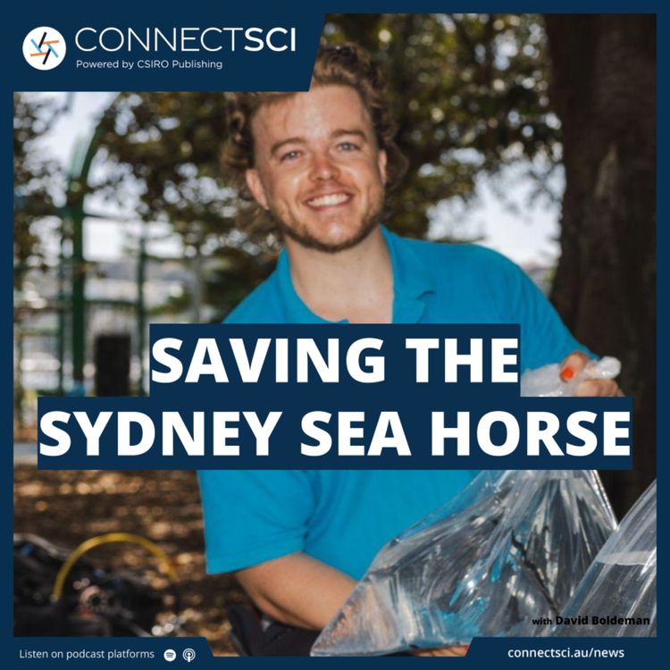 cover art for Saving the Sydney Seahorse