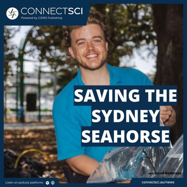 cover art for Saving the Sydney Seahorse