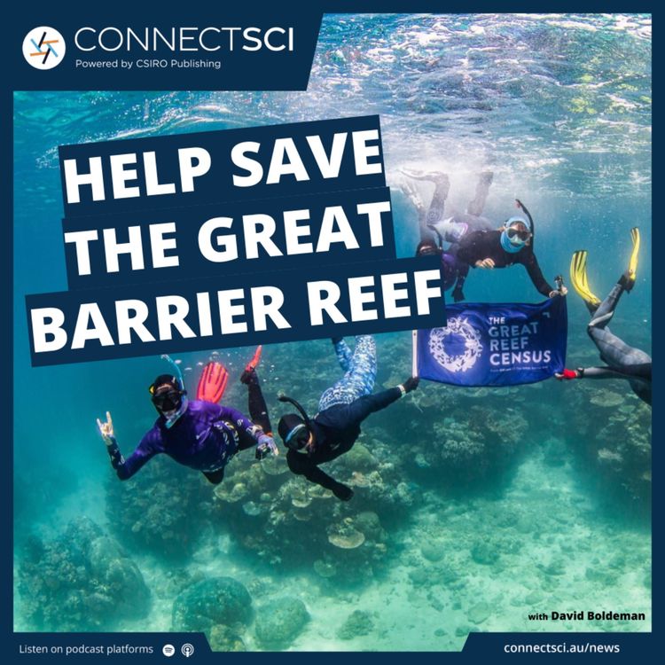 cover art for How you can help save the Great Barrier Reef