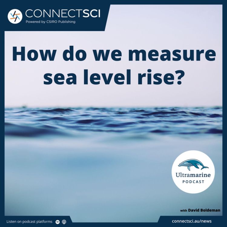 cover art for How do we measure sea level rise?