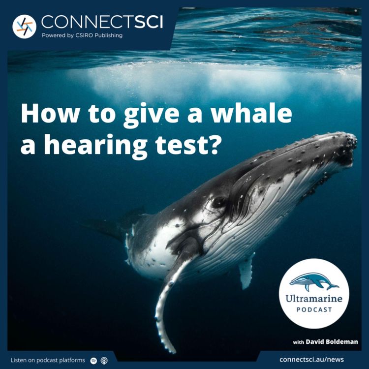cover art for How do you give a whale a hearing test?