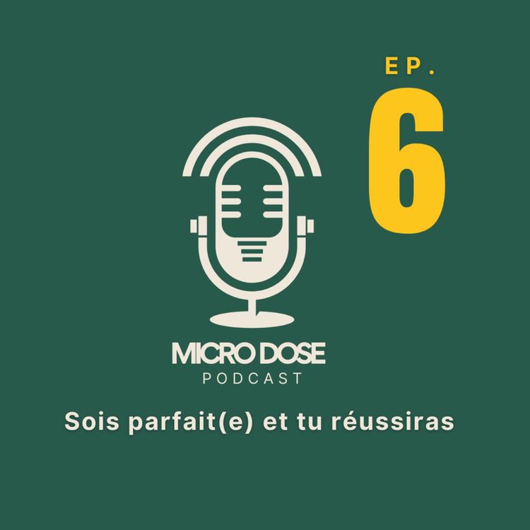 cover art for Sois parfait(e) et tu réussiras