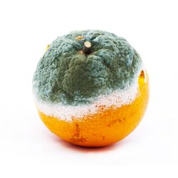 cover art for Echt Iets Voor Jou 