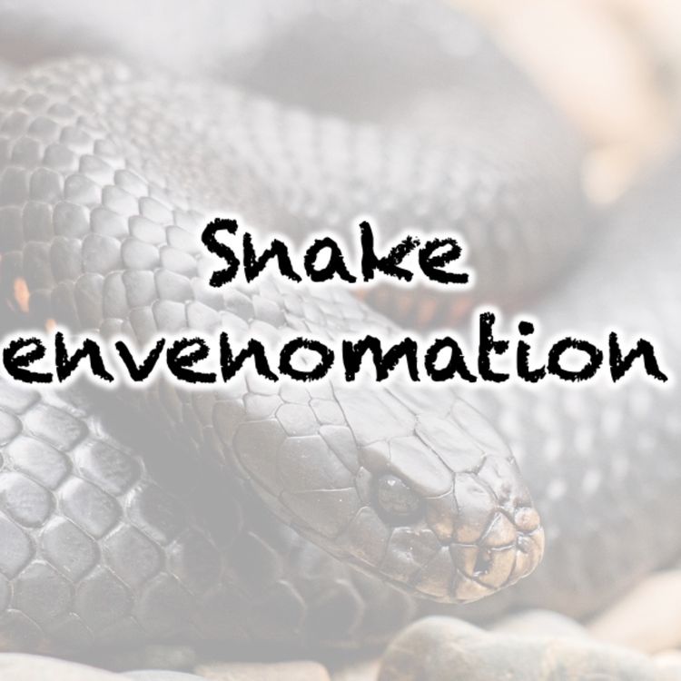 cover art for 154 Snake envenomation