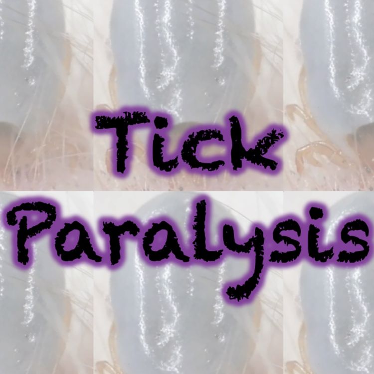 cover art for 155 Tick paralysis