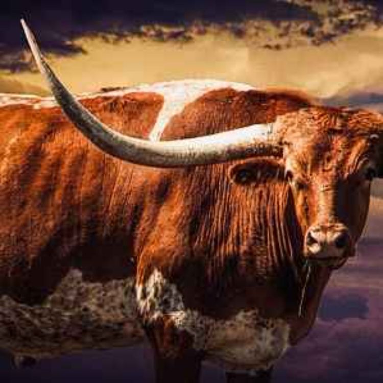 cover art for Dallas-Fort Worth FIFA 2026 World Cup Travel Preview