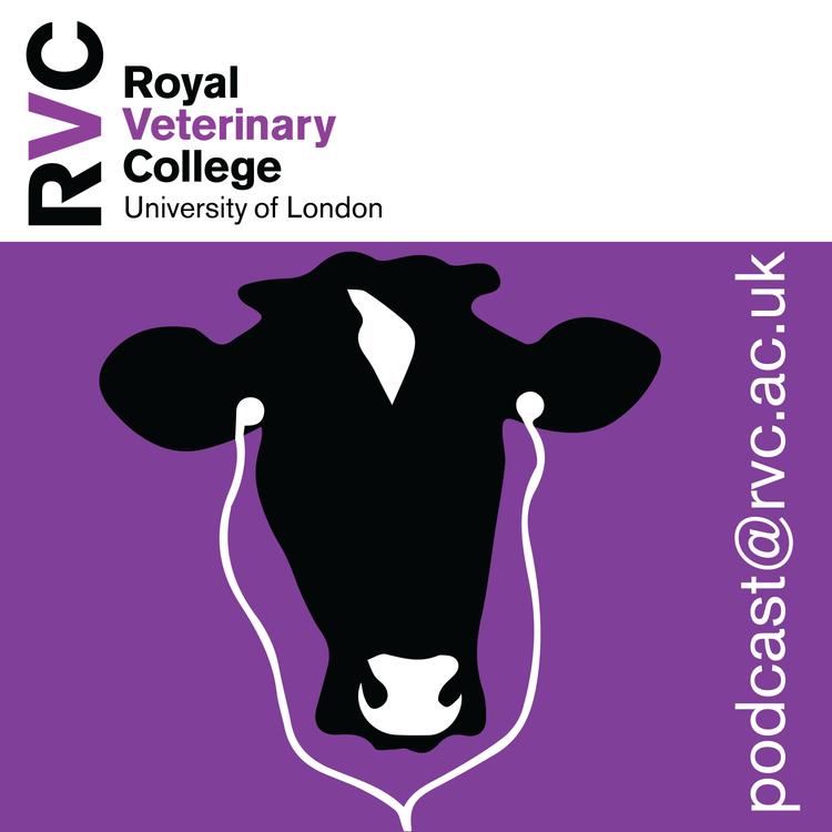 cover art for 68 Innate Health Assessment with Prof Dan O’Neill 