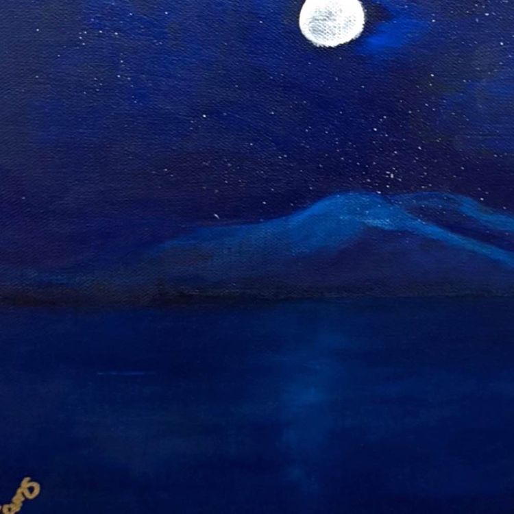 cover art for Barnevernet , tror de vet best.