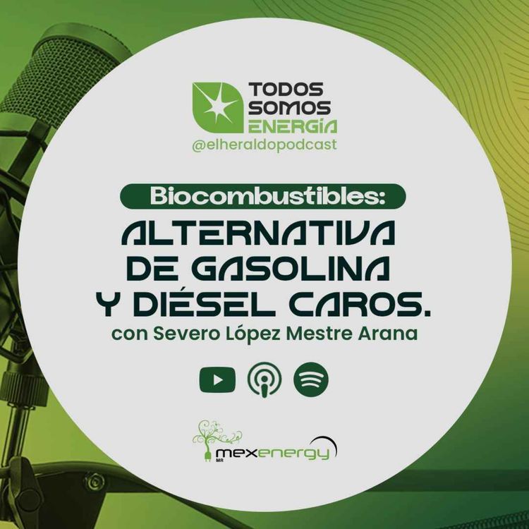 cover art for Versión extendida | Biocombustibles: Alternativa de gasolina y diésel caros