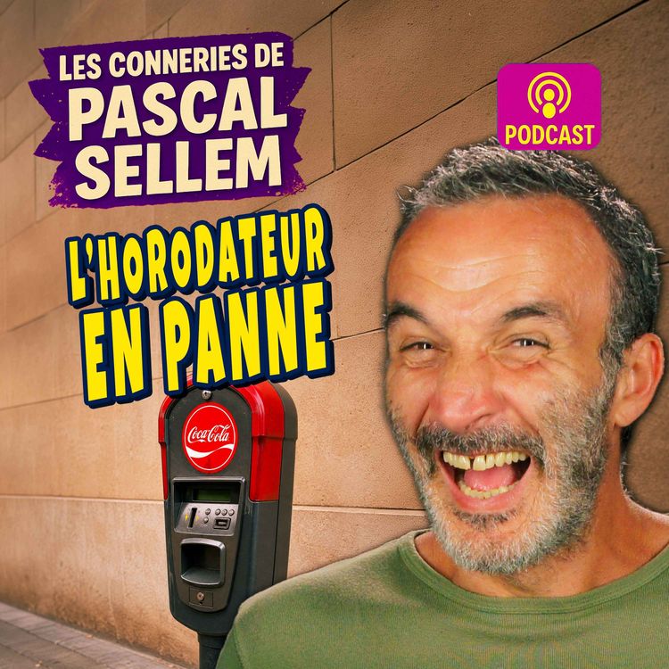 cover art for L'horodateur est en panne et c'est un scandale !