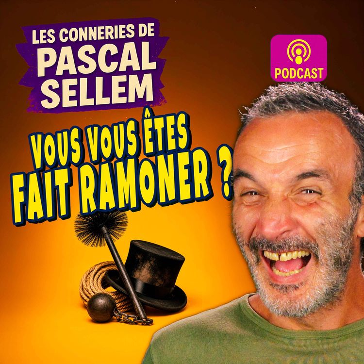 cover art for Vous vous êtes fait ramoner récemment ?