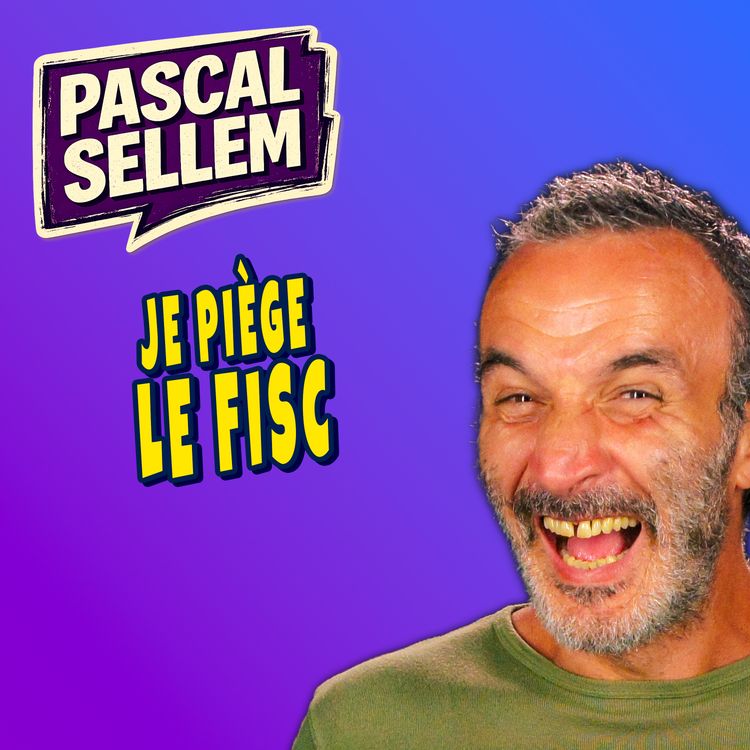 cover art for Piratage du FISC, je les ai piégé
