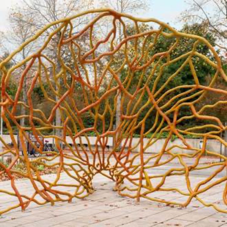 cover art for The Underground Tree