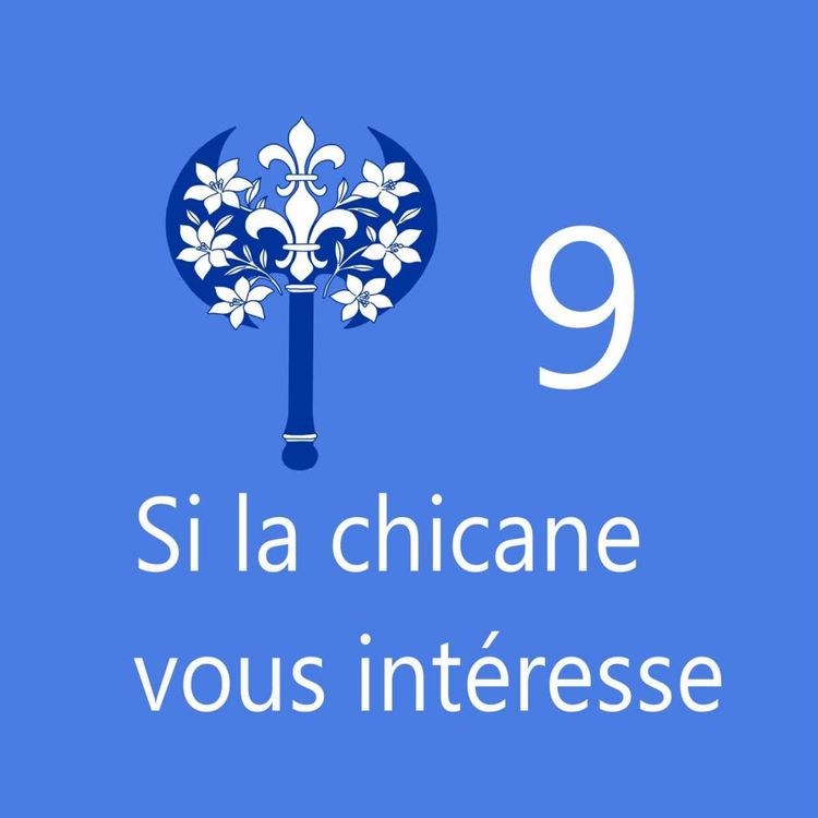 cover art for Si la chicane vous intéresse