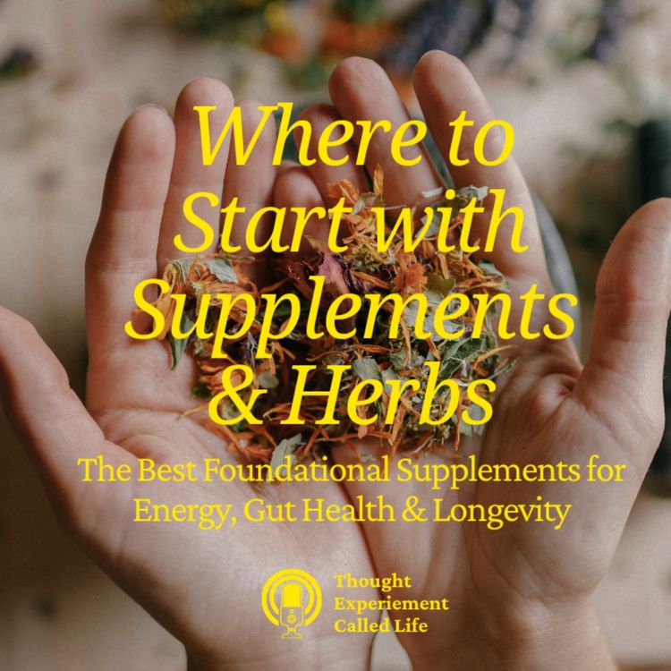 cover art for Where to Start with Supplements & Herbs for Foundational Health (From an Herbalist & Nutritionist)