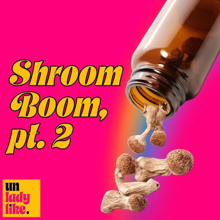 cover art for SHROOM BOOM 🍄, pt. 2: Tripsitting