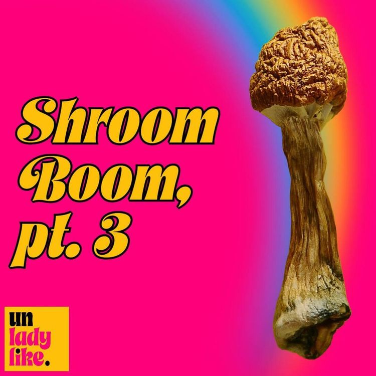 cover art for SHROOM BOOM 🍄, pt. 3: Psychedelic Therapy