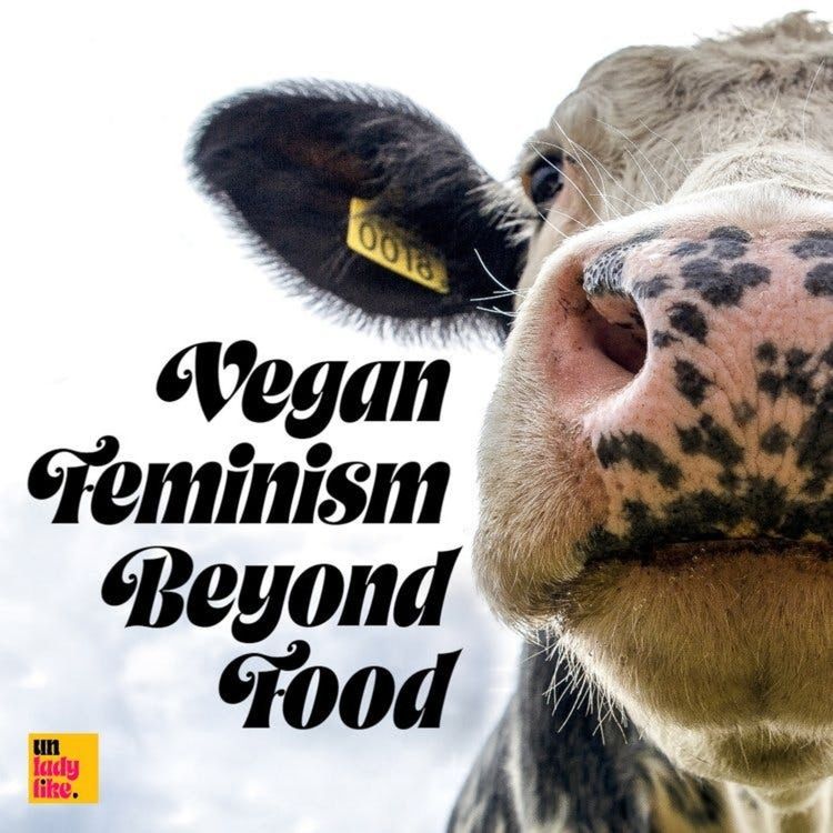 cover art for Vegan Feminism Beyond Food