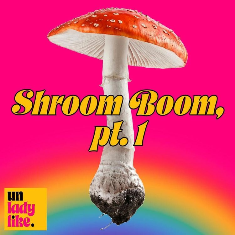 cover art for SHROOM BOOM 🍄, pt. 1: Mushroom Hunting
