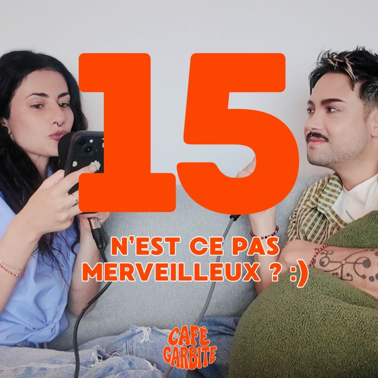 cover art for N'est ce pas merveilleux ? :)