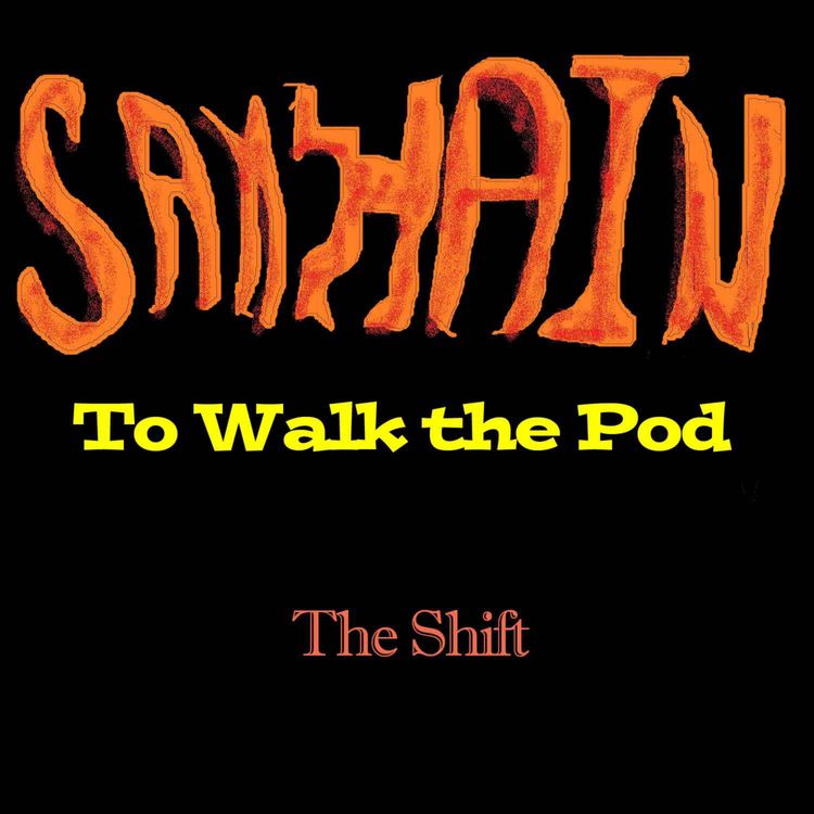 cover art for The Shift