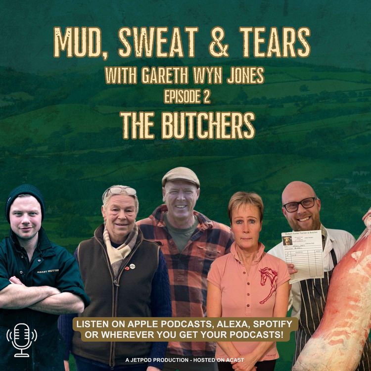 cover art for The Butchers 
