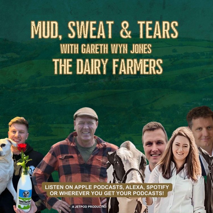 cover art for The Dairy Farmers