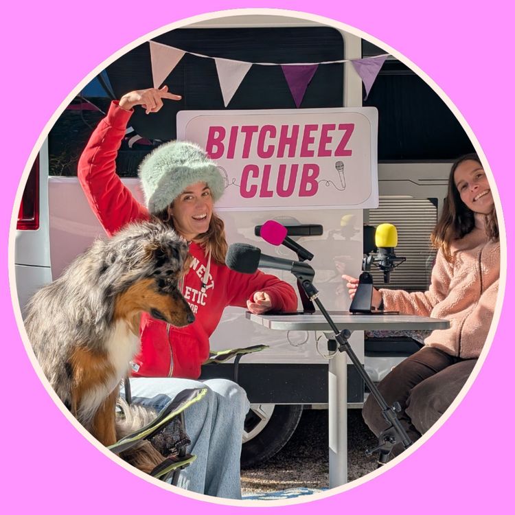 cover art for Bitcheez 9 - Téiné 1, 25 ans 