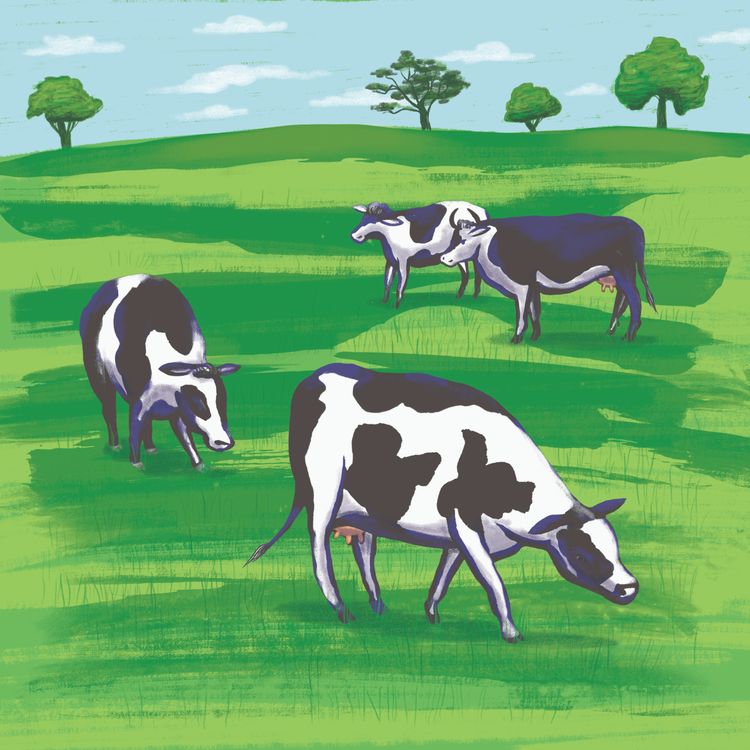 cover art for Cows and The Cowsey