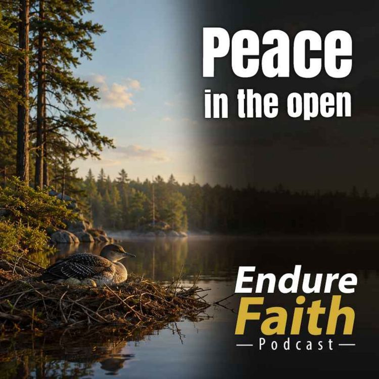 cover art for EndureFaith - Episode 15: Peace in the Open
