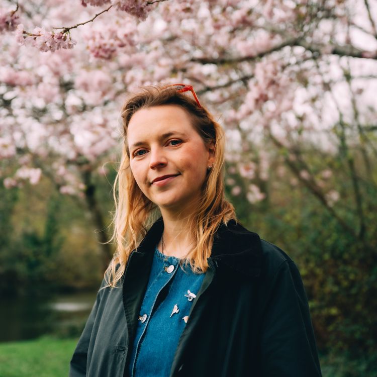 cover art for 85/365: Róisín Sheehy in Tymon Park, Dublin.