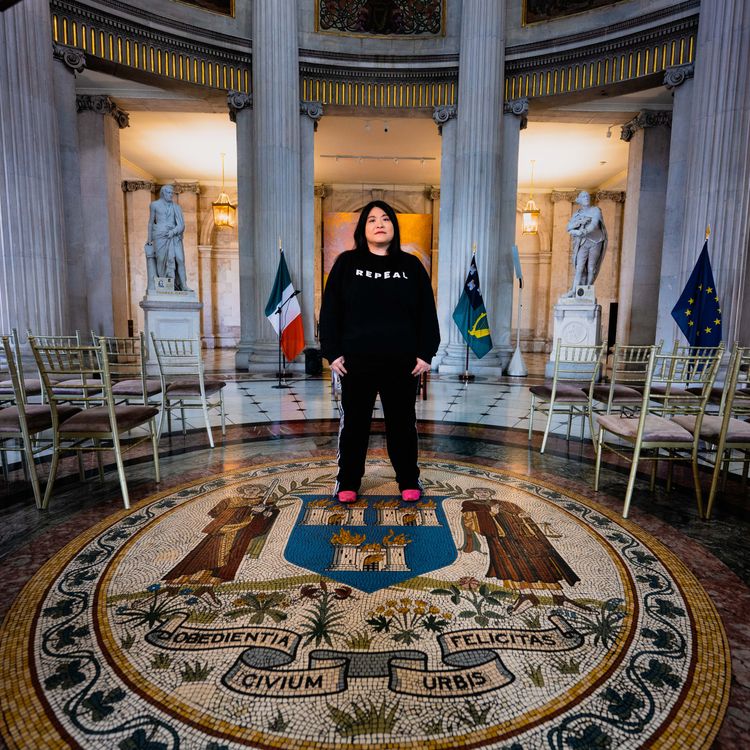 cover art for 107/365: Hazel Chu, Dublin City Hall 