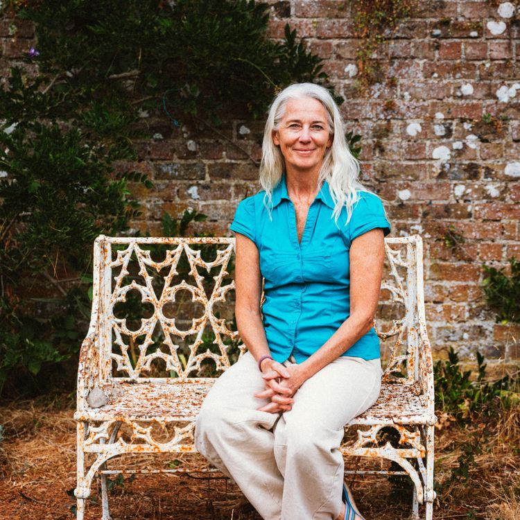 cover art for 229/365: Pam Butler, Co. Carlow