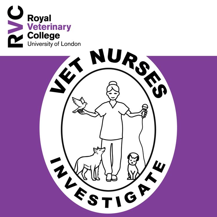 cover art for Introducing VNs Investigate