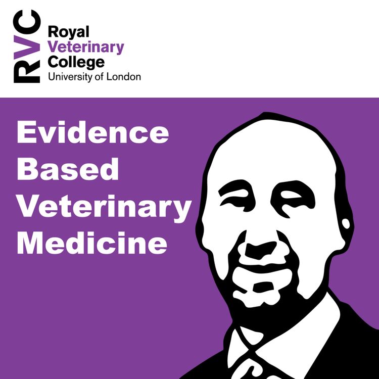 cover art for Evidence Based Veterinary Medicine with Dan O'Neill 