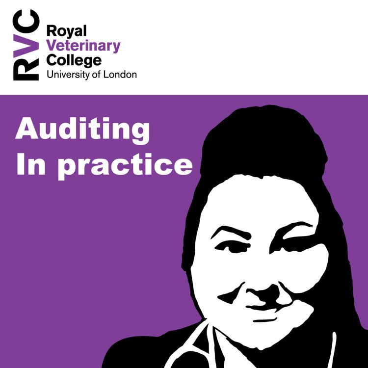 cover art for Auditing in practice with Megan Conroy