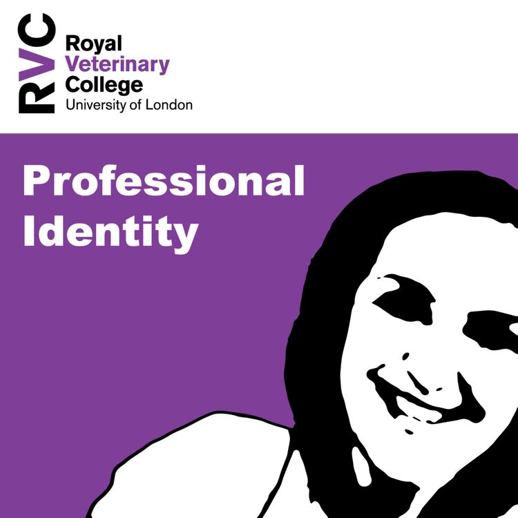 cover art for Professional identity with Rachel Davies