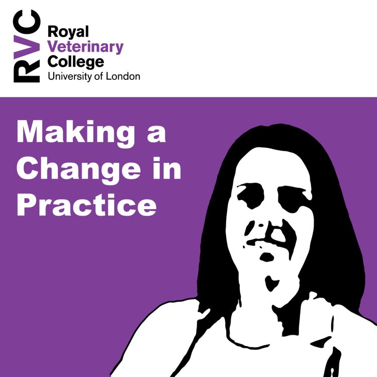 cover art for Making a change in practice with Alison Young