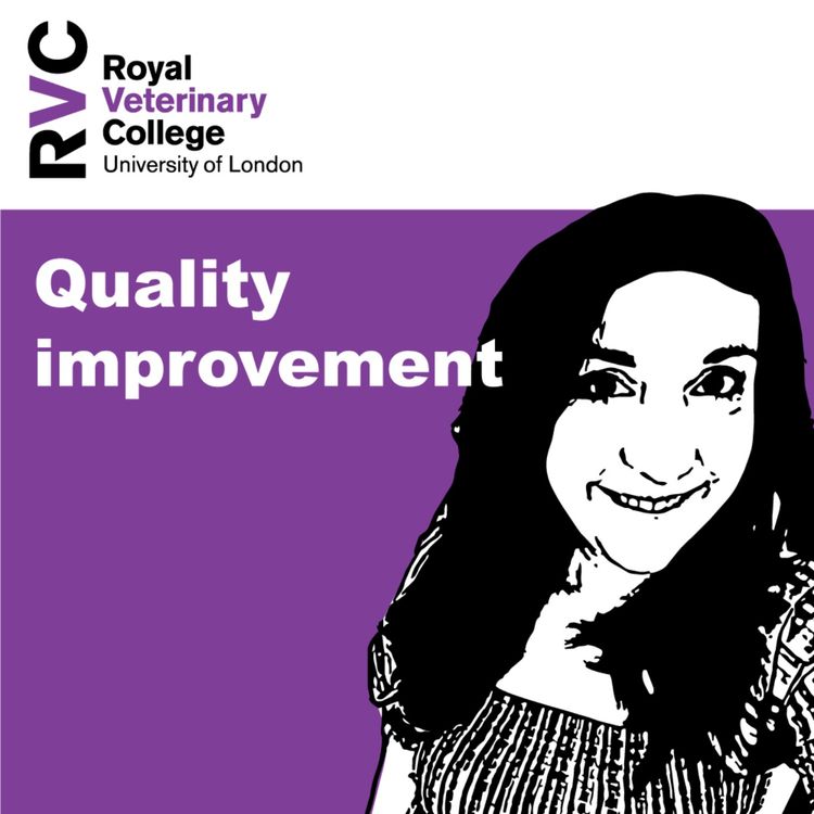cover art for Quality Improvement with Lou Northway