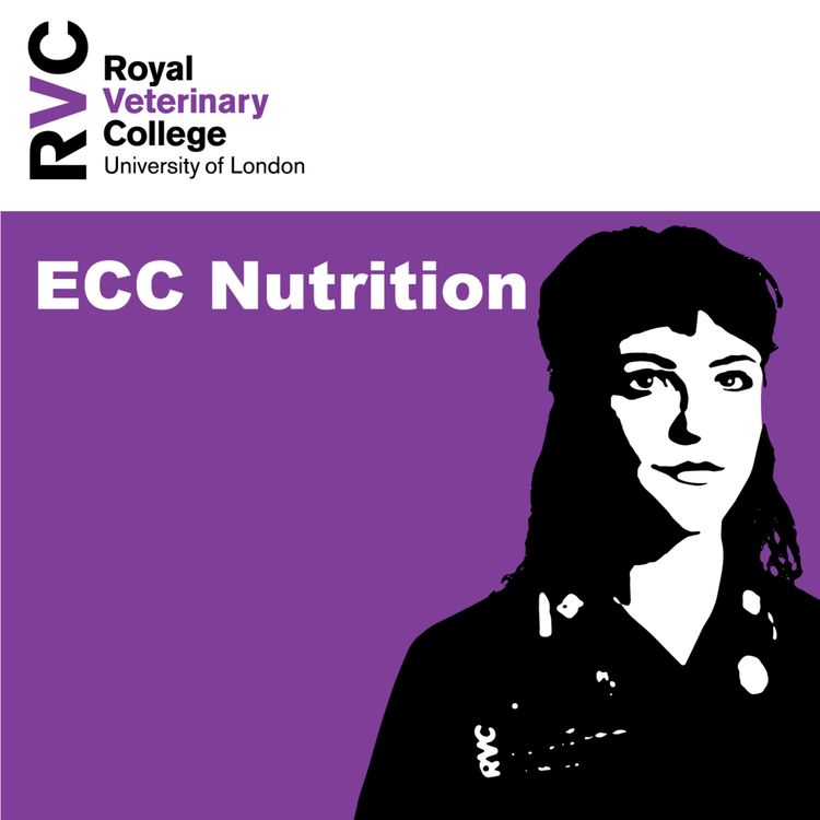 cover art for ECC Nutrition with Sam McGaw