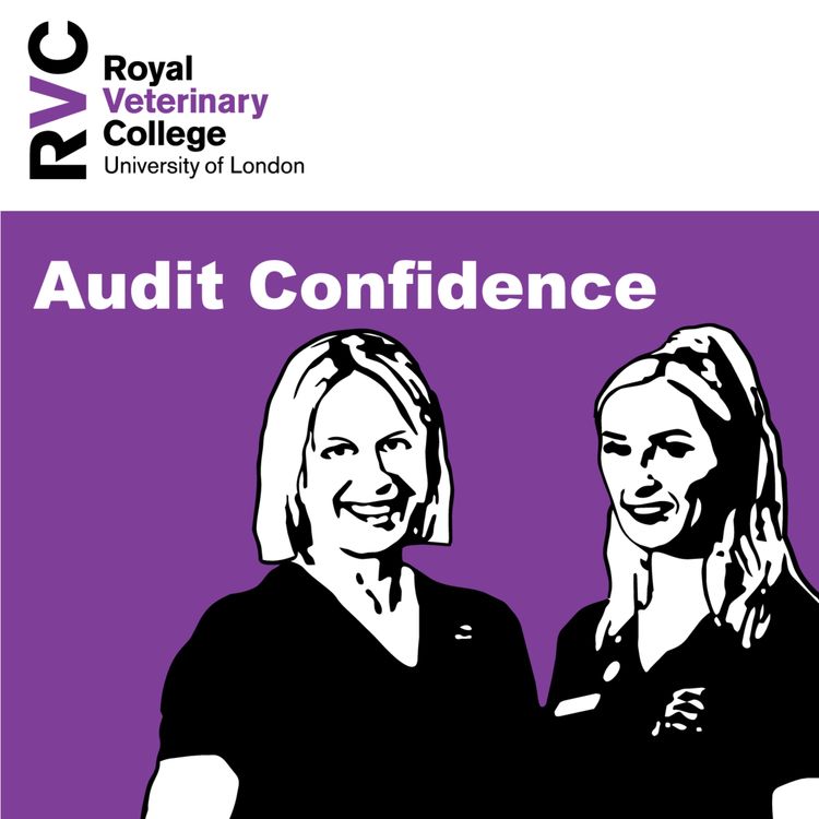 cover art for Audit Confidence with Alice Bell and Abi Redfearn 