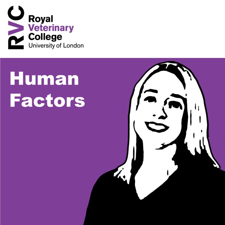 cover art for Human Factors with Helen Silver-MacMahon