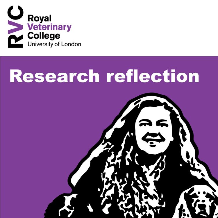 cover art for Research reflection with Michelle Farrow 