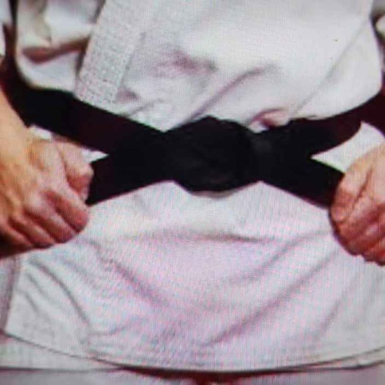 cover art for Black belt?? Grey or green belt?