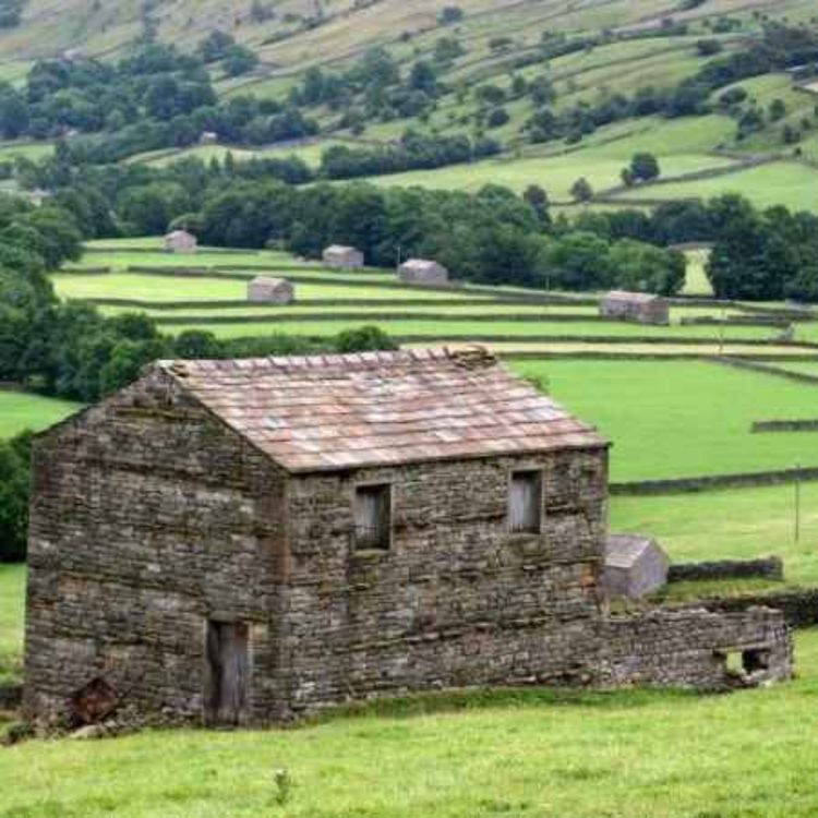 cover art for Maximize your ROI on Agricultural Buildings & Stables