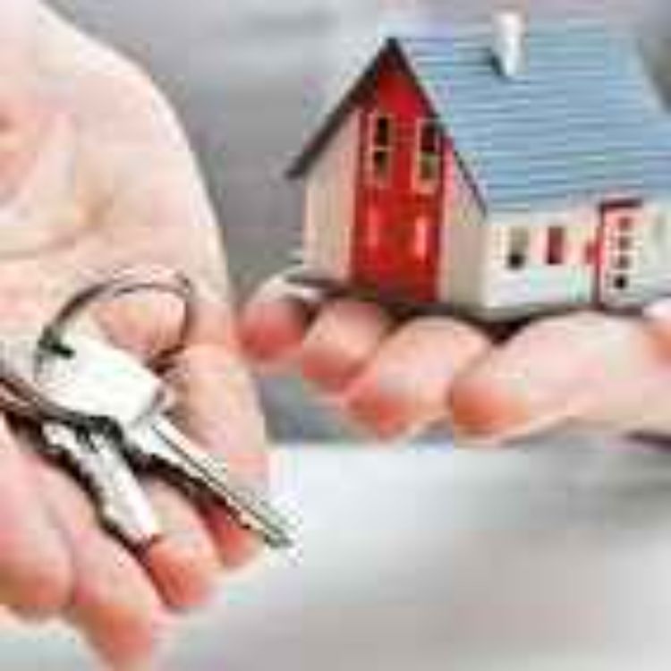cover art for Give Me More on The Basics on Conveyancing