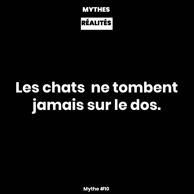 cover art for Mythe #10 — Les chats ne tombent jamais sur leur dos