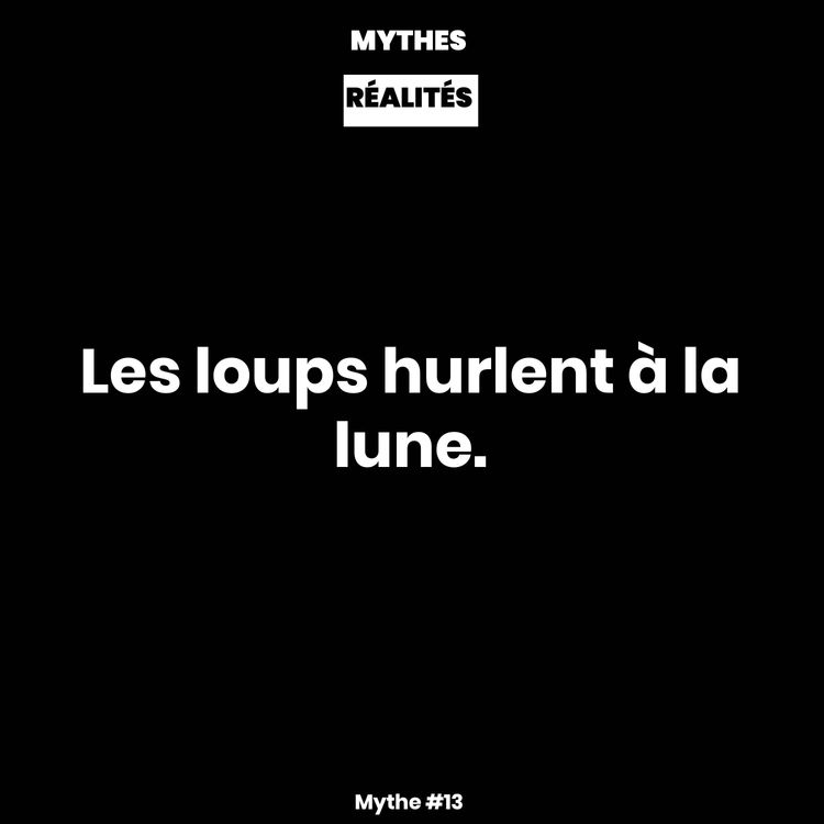 cover art for Mythe #13 — Les loups hurlent à la lune